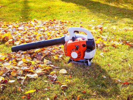 Comment choisir un aspirateur à feuilles